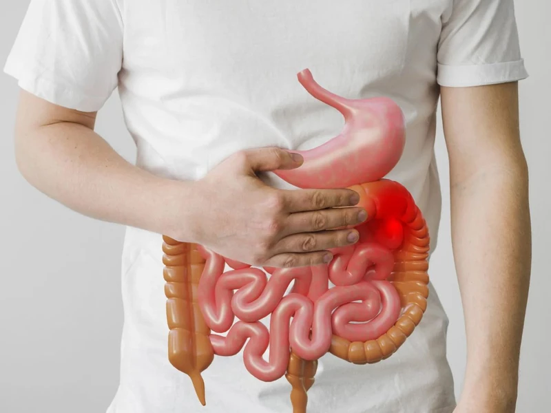 Gastrointestinal and bowel illustration